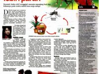 aedes-cegah-sebelum-sehat-11723662046.jpg