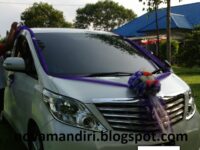 alphard-vellfire-laris-sehat-21723670182.jpg