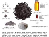 haid-obat-berlebihan-sehat-11723666216.jpg