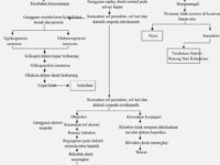 hepatitis-pathway-patofisiologi-sehat-11723741468.jpg