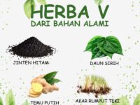 herbal-berlebihan-nyeri-sehat-11723662386.jpg