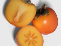kaki-persimmon-wiktionary-sehat-11723741997.jpg