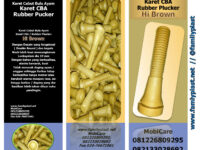 karet-cabut-ayam-sehat-11723750364.jpg