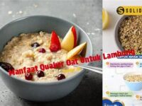 quaker-oat-untuk-jantung-sehat-21723846500.jpg