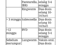 radang-tenggorokan-kronis-sehat-21723661598.jpg