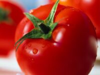 tomat-buah-manfaat-sehat-21723661980.jpg