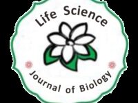 unnes-ekstrak-sju-sehat-21723664376.jpg